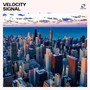 Velocity Signal