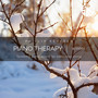 Piano Therapy: Winter (Soothing Piano Music For Conscious Living)