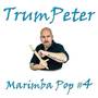 Marimba Pop #4