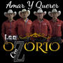 Amar Y Querer