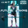 Future Faking (Explicit)