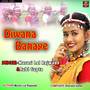 Diwana Banaye