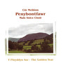 Y Flwyddyn Aur - The Golden Year