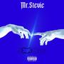 Mr Stevie (Explicit)