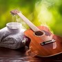 Spa Serenity: Guitar Music for Relaxation