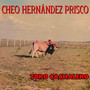 Toro Cachalero