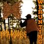 WEHUNTING (Explicit)