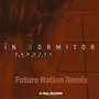 In Dormitor (Future Nation Remix)