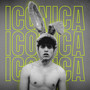 ICONICA