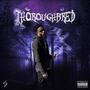 Thoroughbred (Explicit)