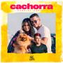 Cachorra