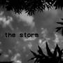 the storm