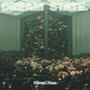 Dream State (Explicit)