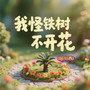 我怪铁树不开花