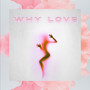 Why Love (Explicit)