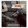 IMALI (feat. McHleza) [Explicit]