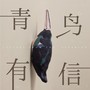 青鸟有信 LETTERS FROM THE BLUEBIRD