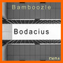 Bodacius