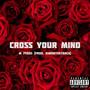 Cross your Mind (Explicit)