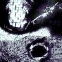 PUSSY POPPIN *****ES (Explicit)