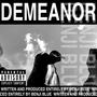DEMEANOR (Explicit)