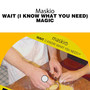 Wait (I Know What You Need) / Magic