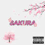 SAKURA (Explicit)