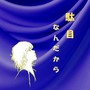 駄目なんだから
