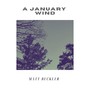 A January Wind