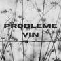 PROBLEME VIN