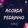 Acorda Pedrinho (Theo Remix)