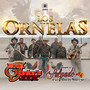 Los Ornelas