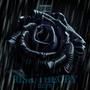 Risk Theory (Explicit)