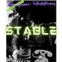 STABLE (feat. TooBooted Manny) [Explicit]