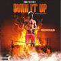 BURN IT UP (Explicit)