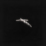 nation's end (ext.) [Explicit]