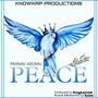 Peace (feat. Rudra & singhxcrew) [Explicit]