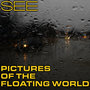 Pictures of the Floating World