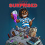 Not Surprised (Explicit)