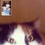 facetime