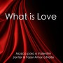 What Is Love - Música do Piano Instrumental para Todos os Amantes, Música Relaxante Emocional para os Seus Pequenos para o Valentim Jantar & Fazer Amor a Noite