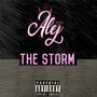 The Storm (Explicit)