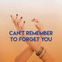 Can't Remember to Forget You