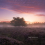 New horizons