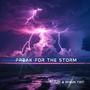 Freak for the storm (feat. Shaun Tait) [Radio Edit]