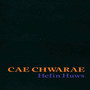 Cae Chwarae
