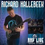 Richard Hallebeek Project: Live in Zoetermeer