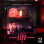 Fake Luv (feat. NoWayJay) [Explicit]