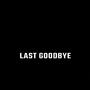 Last Goodbye (Explicit)