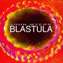 John Myers' Blastula